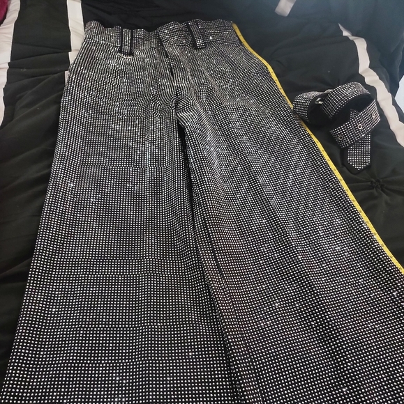 Gritty Soul CleopantRhineston Pants fully lined Size Large w/pleats in the waist - Picture 1 of 11